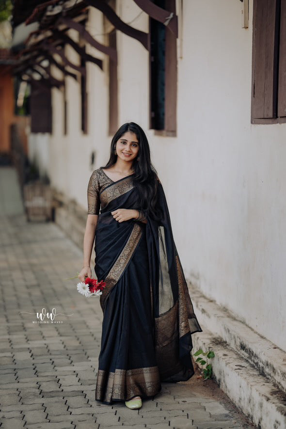 Soft Banarasi warm silk saree