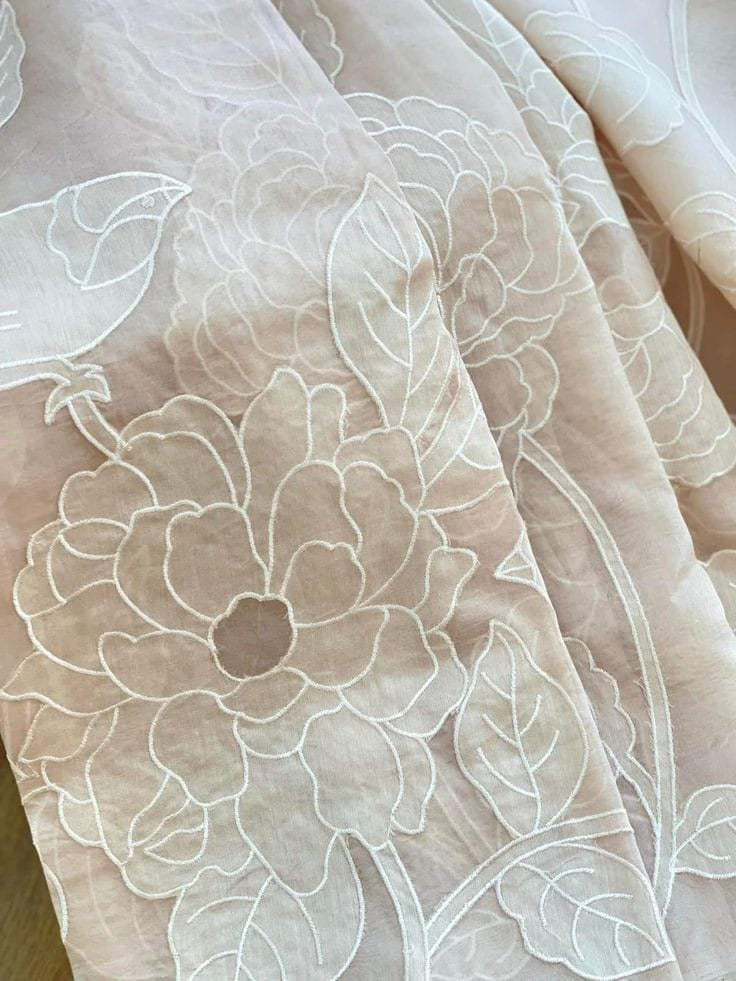 Banarasi organza saree with appliqué work