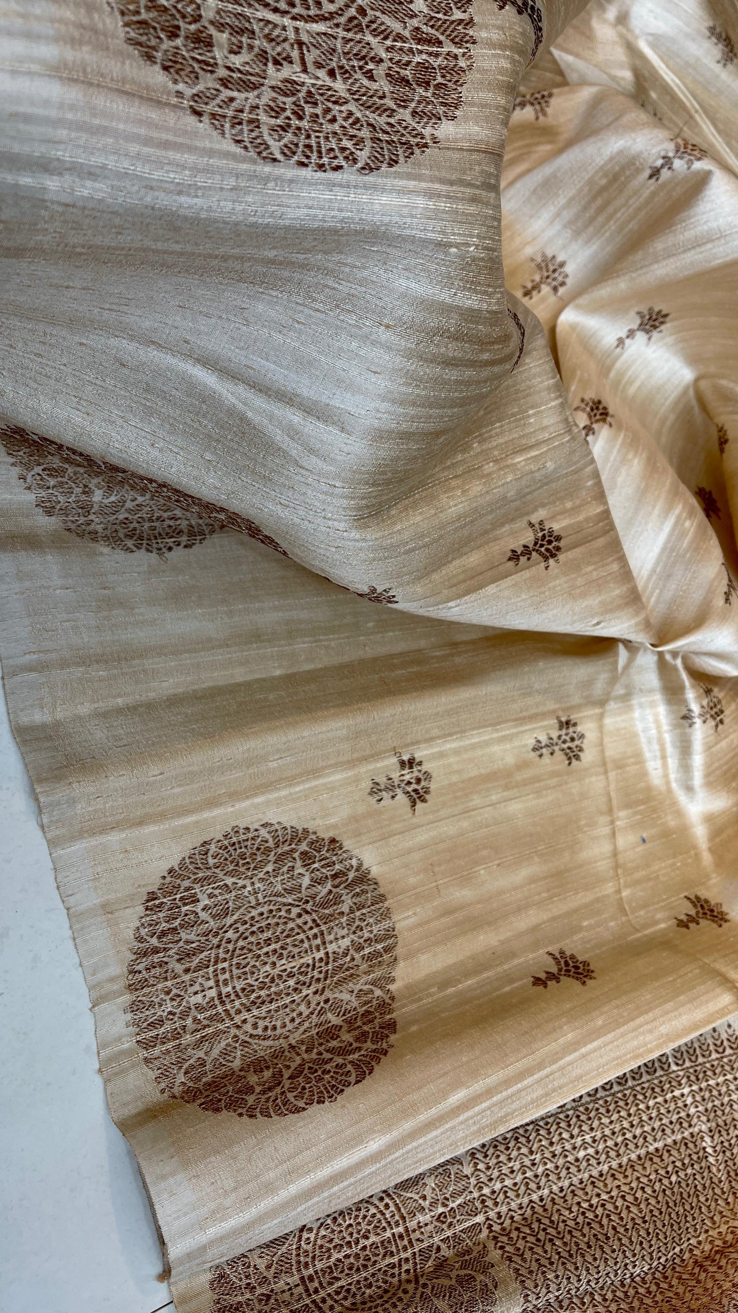 Raw Silk Saree with Banarasi weaves