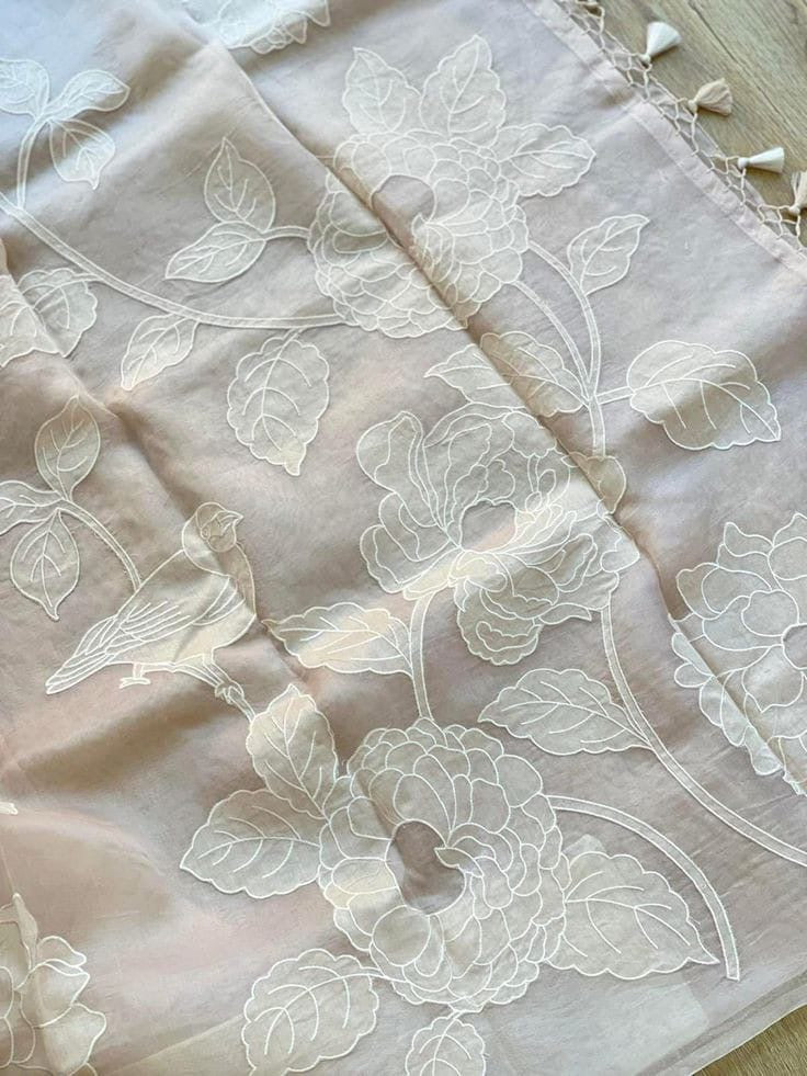 Banarasi organza saree with appliqué work