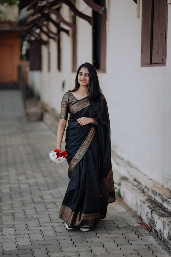 Soft Banarasi warm silk saree