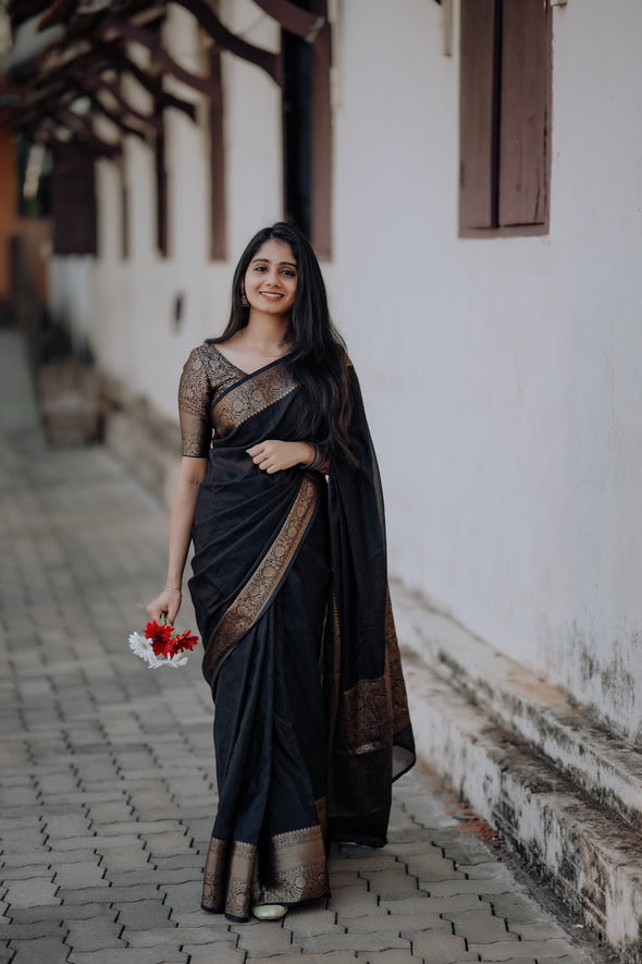 Soft Banarasi warm silk saree
