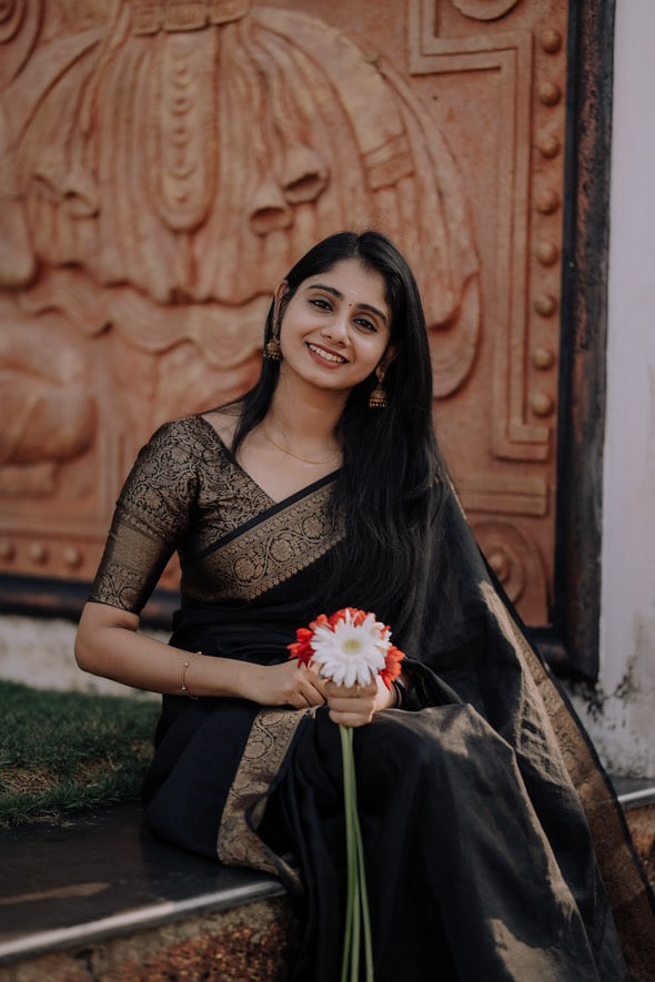 Soft Banarasi warm silk saree