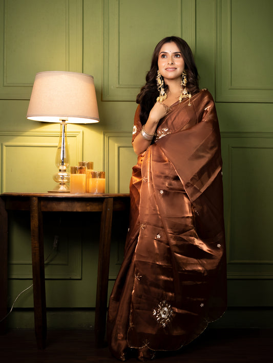 Soft glass tissue organza saree with handwork