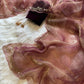 Tissue silk saree with handwork borders and velvet blouse