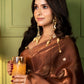 Soft glass tissue organza saree with handwork