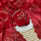 Jimmy choo saree with beautiful embroidery