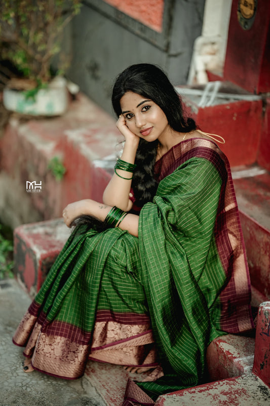 Beautiful dola silk saree with checks
