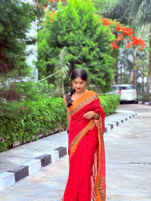 Narayanpet elephant border saree