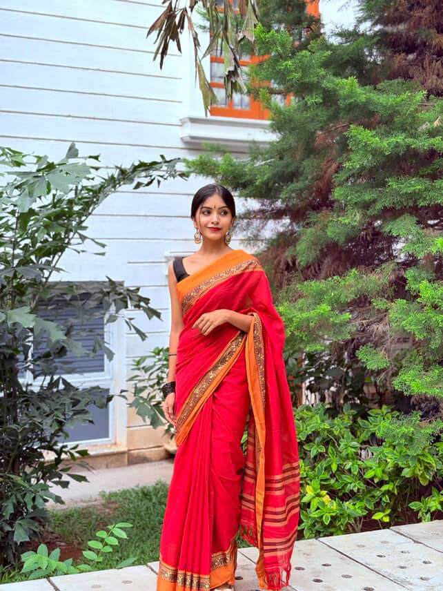 Narayanpet elephant border saree