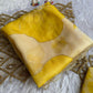 Soft semi organza saree with beautiful digital prints highlighted with beads work