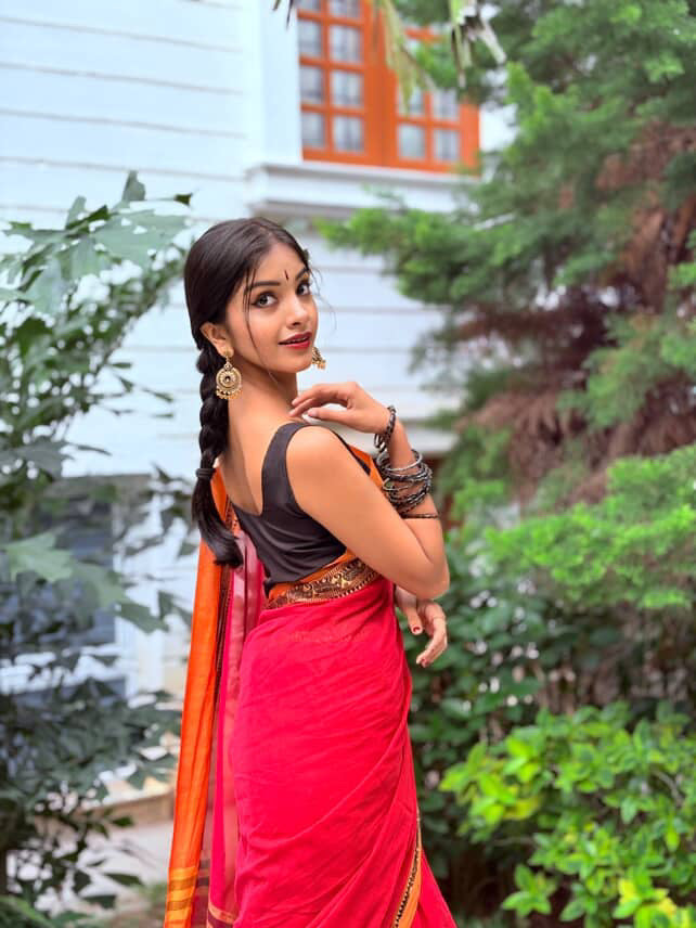 Narayanpet elephant border saree