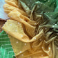 Beautiful kota doria saree with white buti weaving and scalloped border