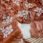 Jimmy choo saree with beautiful embroidery
