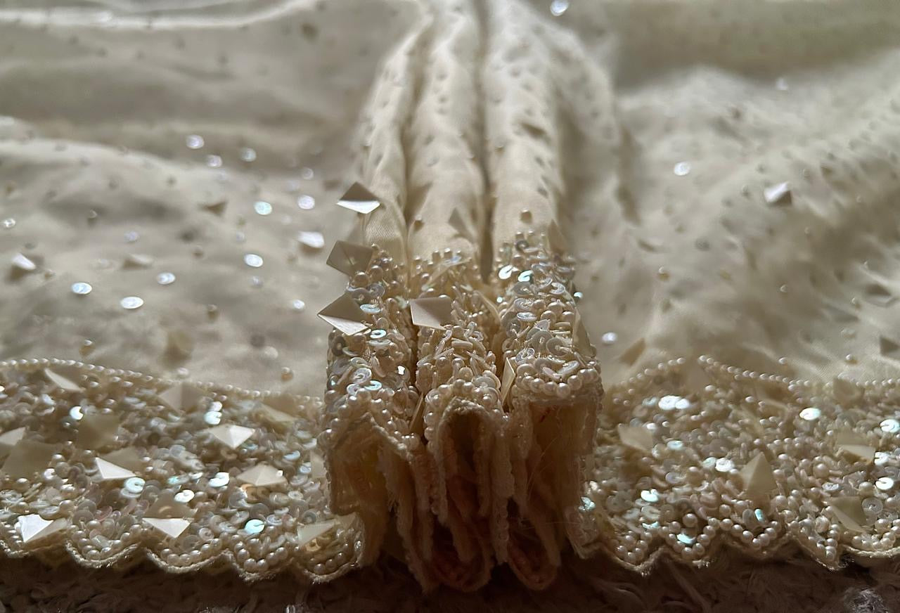 Pure tissue silk saree with pearl sequins handwork