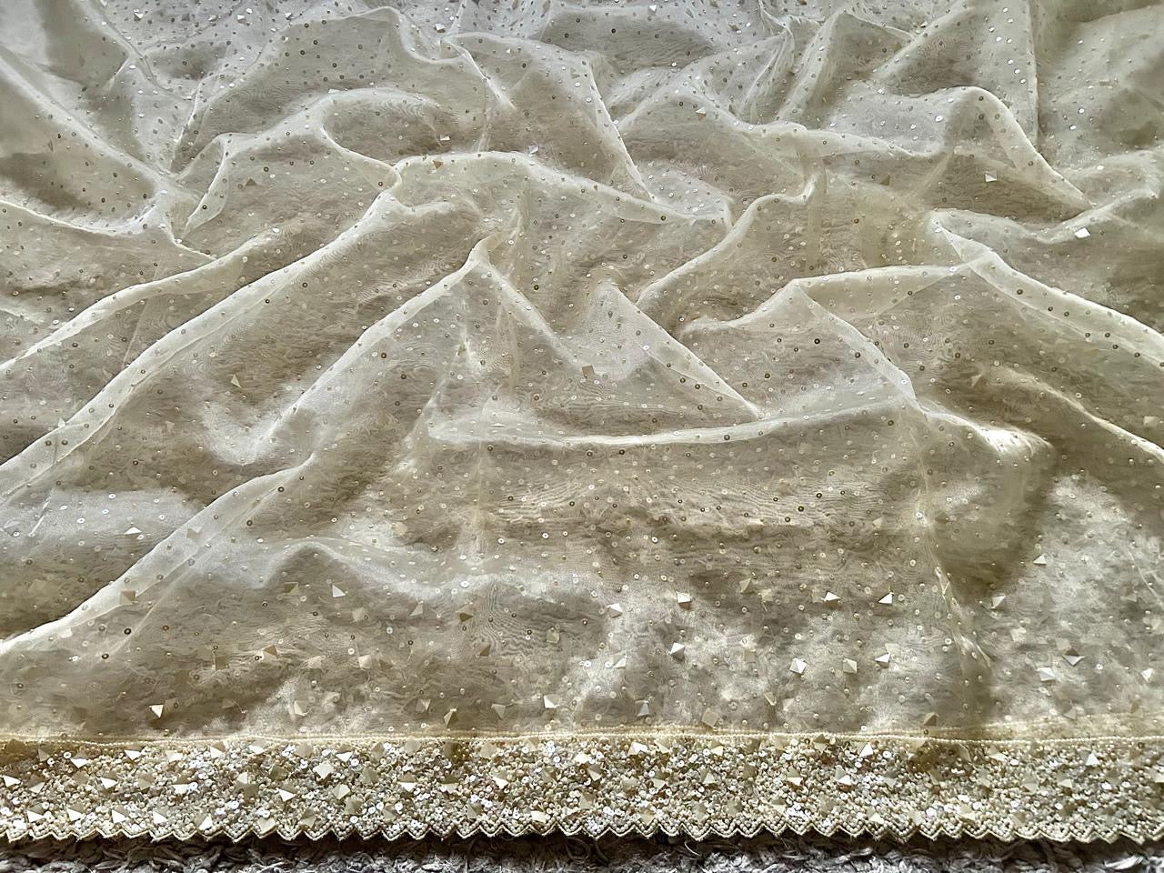 Pure tissue silk saree with pearl sequins handwork