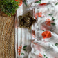 Pure mul cotton saree with cute prints and silver zari stripes
