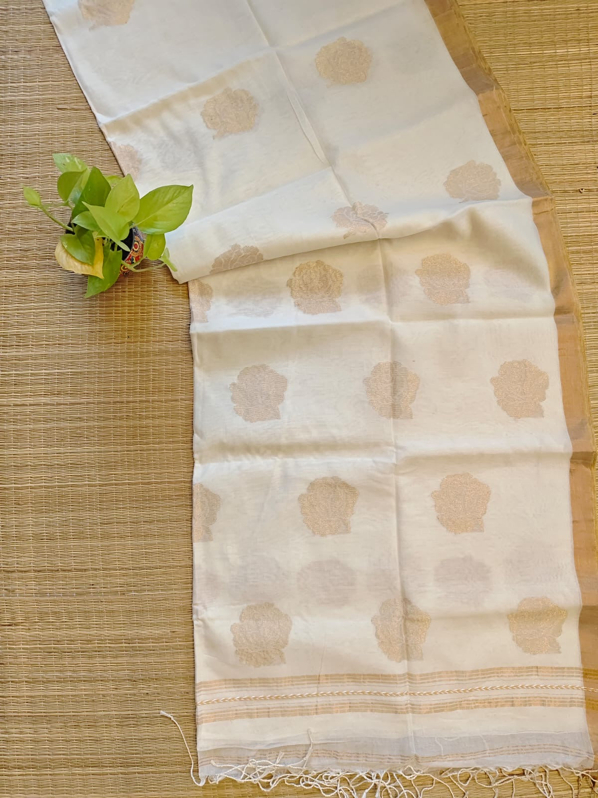 Premium kerala cotton saree with Rose motif