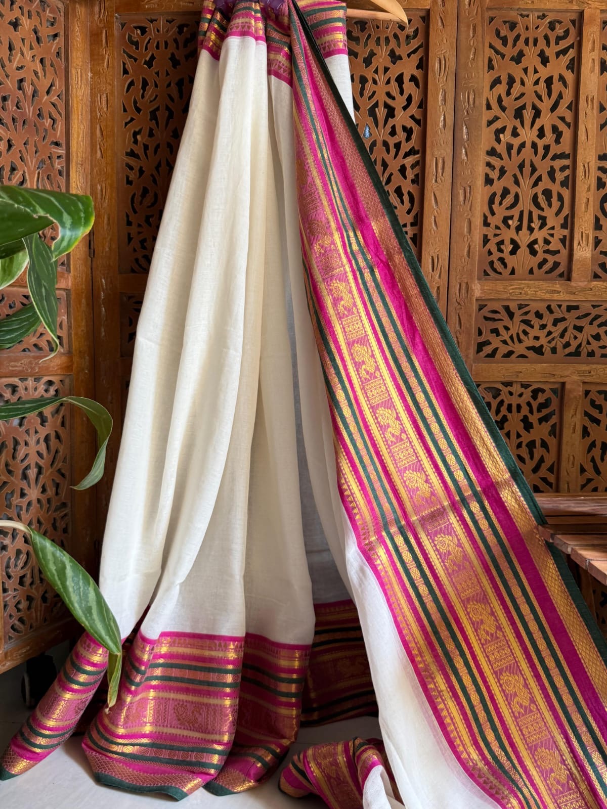 Pure and authentic mul cotton saree with broad kanchi weaved border