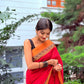 Narayanpet elephant border saree