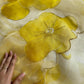 Soft semi organza saree with beautiful digital prints highlighted with beads work